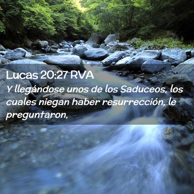 Picture 02 - Lucas 20:27 RVA - Y llegándose unos de los Saduceos, los cuales - Bible Verse Picture