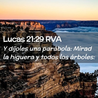 Picture 02 - Lucas 21:29 RVA - Y díjoles una parábola: Mirad la higuera y - Bible Verse Picture