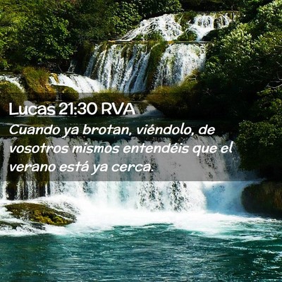 Picture 02 - Lucas 21:30 RVA - Cuando ya brotan, viéndolo, de vosotros mismos - Bible Verse Picture