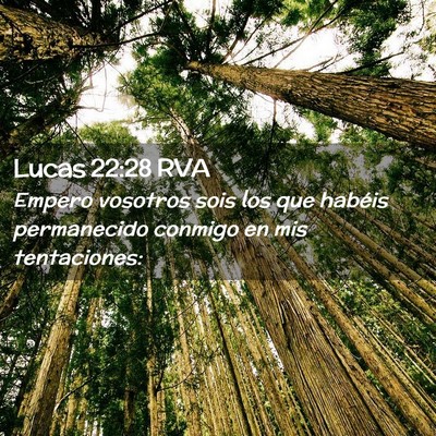 Picture 02 - Lucas 22:28 RVA - Empero vosotros sois los que habéis permanecido - Bible Verse Picture