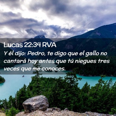 Picture 02 - Lucas 22:34 RVA - Y él dijo: Pedro, te digo que el gallo no - Bible Verse Picture