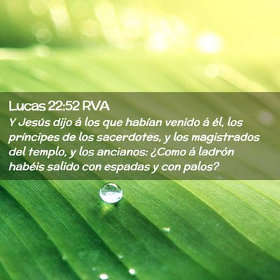 Picture 02 - Lucas 22:52 RVA - Y Jesús dijo á los que habían venido á él, - Bible Verse Picture
