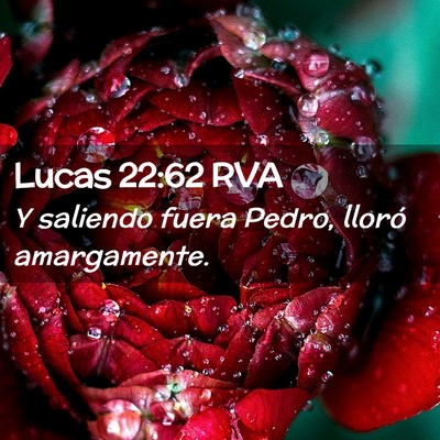 Picture 02 - Lucas 22:62 RVA - Y saliendo fuera Pedro, lloró - Bible Verse Picture