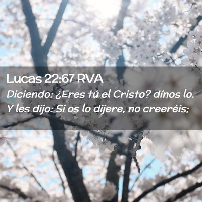 Picture 02 - Lucas 22:67 RVA - Diciendo: ¿Eres tú el Cristo? dínos lo. Y les - Bible Verse Picture