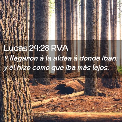 Picture 02 - Lucas 24:28 RVA - Y llegaron á la aldea á donde iban: y él hizo - Bible Verse Picture