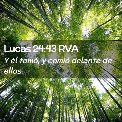Picture 02 - Lucas 24:43 RVA - Y él tomó, y comió delante de - Bible Verse Picture