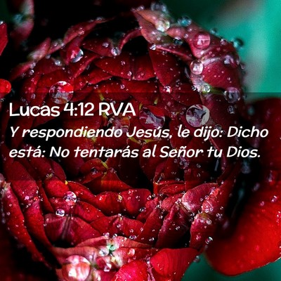 Picture 02 - Lucas 4:12 RVA - Y respondiendo Jesús, le dijo: Dicho está: No - Bible Verse Picture