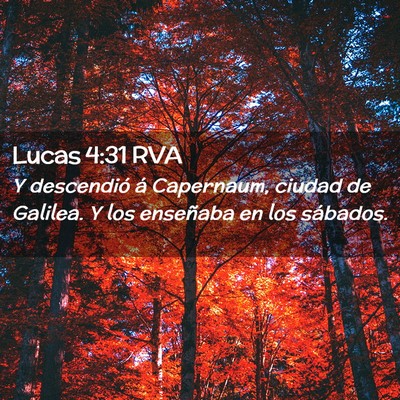 Picture 02 - Lucas 4:31 RVA - Y descendió á Capernaum, ciudad de Galilea. Y - Bible Verse Picture
