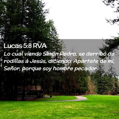 Picture 02 - Lucas 5:8 RVA - Lo cual viendo Simón Pedro, se derribó de - Bible Verse Picture