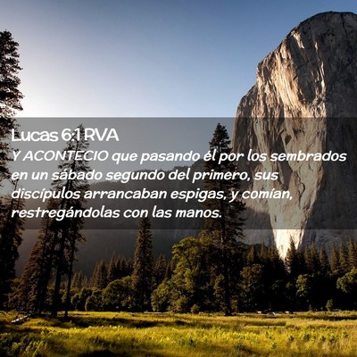 Picture 02 - Lucas 6:1 RVA - Y ACONTECIO que pasando él por los sembrados en - Bible Verse Picture