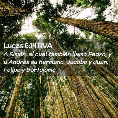 Picture 02 - Lucas 6:14 RVA - A Simón, al cual también llamó Pedro, y á - Bible Verse Picture