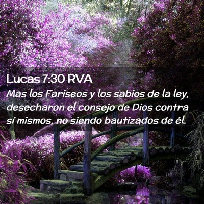Picture 02 - Lucas 7:30 RVA - Mas los Fariseos y los sabios de la ley, - Bible Verse Picture