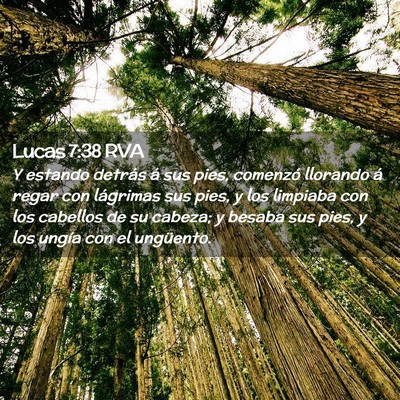 Picture 02 - Lucas 7:38 RVA - Y estando detrás á sus pies, comenzó llorando - Bible Verse Picture