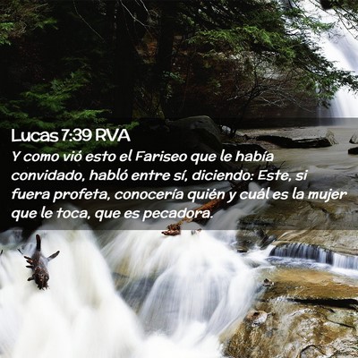 Picture 02 - Lucas 7:39 RVA - Y como vió esto el Fariseo que le había - Bible Verse Picture