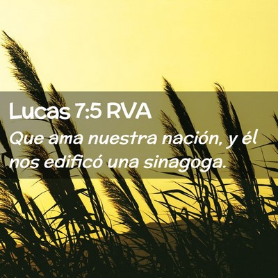 Picture 02 - Lucas 7:5 RVA - Que ama nuestra nación, y él nos edificó una - Bible Verse Picture