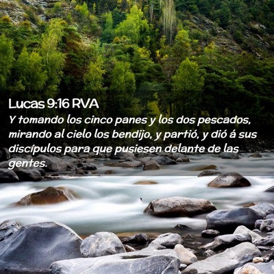 Picture 02 - Lucas 9:16 RVA - Y tomando los cinco panes y los dos pescados, - Bible Verse Picture