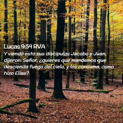 Picture 02 - Lucas 9:54 RVA - Y viendo esto sus discípulos Jacobo y Juan, - Bible Verse Picture