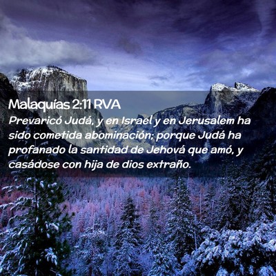 Picture 02 - Malaquías 2:11 RVA - Prevaricó Judá, y en Israel y en Jerusalem ha - Bible Verse Picture