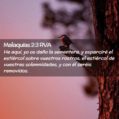 Picture 02 - Malaquías 2:3 RVA - He aquí, yo os daño la sementera, y esparciré - Bible Verse Picture