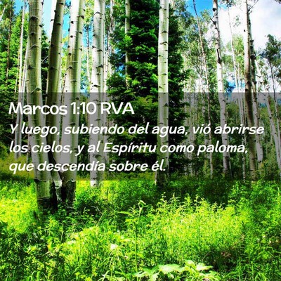 Picture 02 - Marcos 1:10 RVA - Y luego, subiendo del agua, vió abrirse los - Bible Verse Picture
