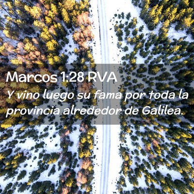 Picture 02 - Marcos 1:28 RVA - Y vino luego su fama por toda la provincia - Bible Verse Picture