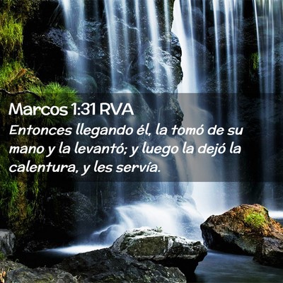 Picture 02 - Marcos 1:31 RVA - Entonces llegando él, la tomó de su mano y la - Bible Verse Picture