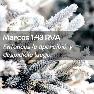 Picture 02 - Marcos 1:43 RVA - Entonces le apercibió, y despidióle - Bible Verse Picture