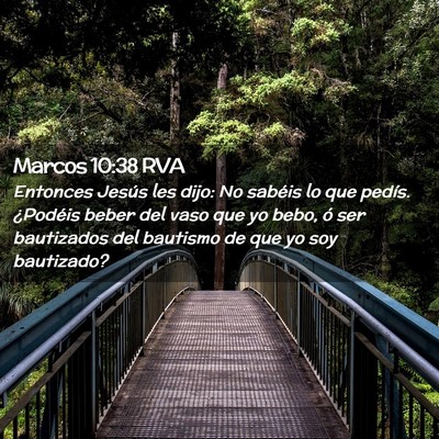 Picture 02 - Marcos 10:38 RVA - Entonces Jesús les dijo: No sabéis lo que - Bible Verse Picture