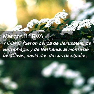 Picture 02 - Marcos 11:1 RVA - Y COMO fueron cerca de Jerusalem, de Bethphagé, - Bible Verse Picture