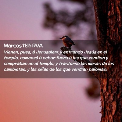 Picture 02 - Marcos 11:15 RVA - Vienen, pues, á Jerusalem; y entrando Jesús en - Bible Verse Picture