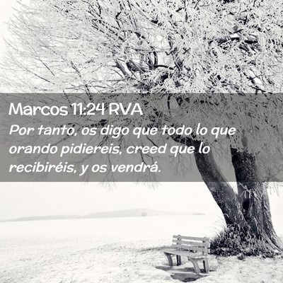 Picture 02 - Marcos 11:24 RVA - Por tanto, os digo que todo lo que orando - Bible Verse Picture