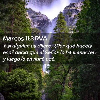 Picture 02 - Marcos 11:3 RVA - Y si alguien os dijere: ¿Por qué hacéis eso? - Bible Verse Picture