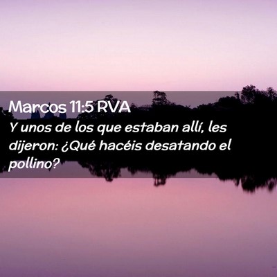 Picture 02 - Marcos 11:5 RVA - Y unos de los que estaban allí, les dijeron: - Bible Verse Picture