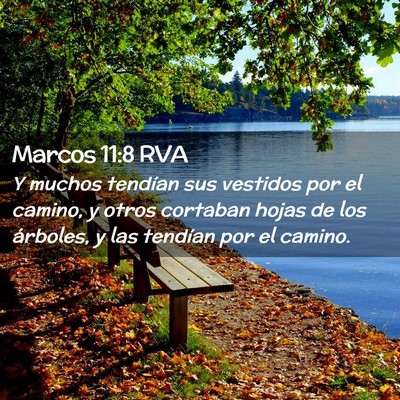 Picture 02 - Marcos 11:8 RVA - Y muchos tendían sus vestidos por el camino, y - Bible Verse Picture