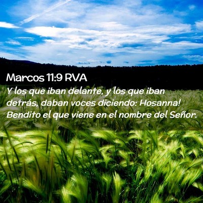 Picture 02 - Marcos 11:9 RVA - Y los que iban delante, y los que iban detrás, - Bible Verse Picture