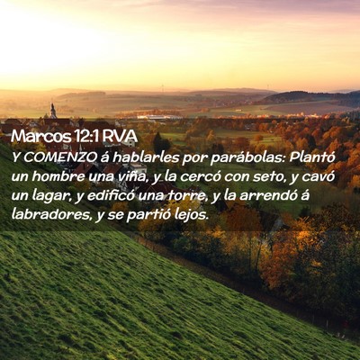 Picture 02 - Marcos 12:1 RVA - Y COMENZO á hablarles por parábolas: Plantó un - Bible Verse Picture