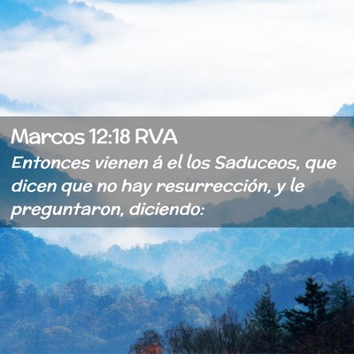 Picture 02 - Marcos 12:18 RVA - Entonces vienen á el los Saduceos, que dicen que - Bible Verse Picture