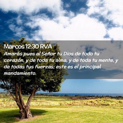 Picture 02 - Marcos 12:30 RVA - Amarás pues al Señor tu Dios de todo tu - Bible Verse Picture