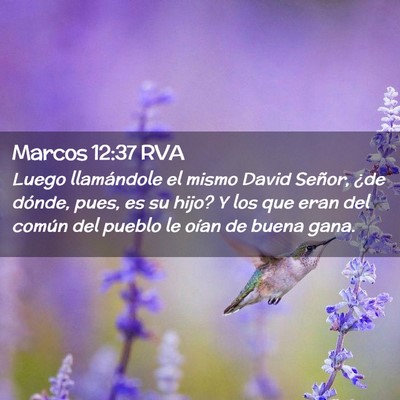 Picture 02 - Marcos 12:37 RVA - Luego llamándole el mismo David Señor, ¿de - Bible Verse Picture