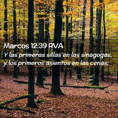 Picture 02 - Marcos 12:39 RVA - Y las primeras sillas en las sinagogas, y los - Bible Verse Picture