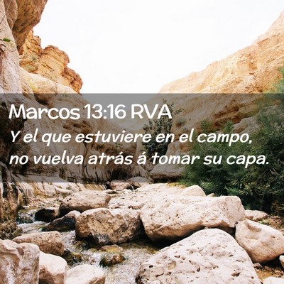 Picture 02 - Marcos 13:16 RVA - Y el que estuviere en el campo, no vuelva atrás - Bible Verse Picture