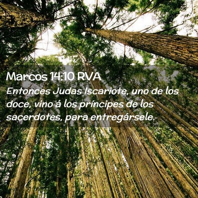 Picture 02 - Marcos 14:10 RVA - Entonces Judas Iscariote, uno de los doce, vino - Bible Verse Picture