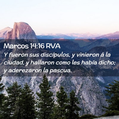 Picture 02 - Marcos 14:16 RVA - Y fueron sus discípulos, y vinieron á la - Bible Verse Picture
