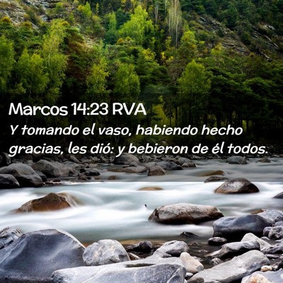 Picture 02 - Marcos 14:23 RVA - Y tomando el vaso, habiendo hecho gracias, les - Bible Verse Picture