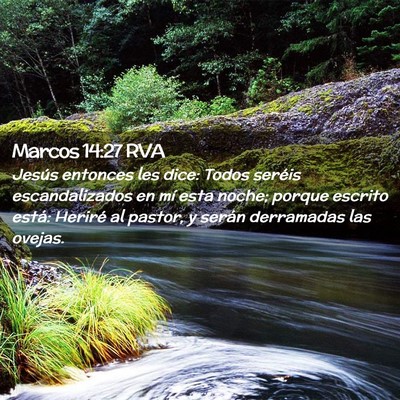 Picture 02 - Marcos 14:27 RVA - Jesús entonces les dice: Todos seréis - Bible Verse Picture