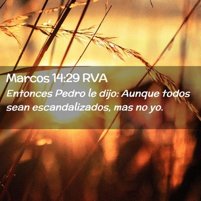 Picture 02 - Marcos 14:29 RVA - Entonces Pedro le dijo: Aunque todos sean - Bible Verse Picture