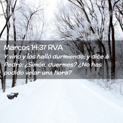 Picture 02 - Marcos 14:37 RVA - Y vino y los halló durmiendo; y dice á Pedro: - Bible Verse Picture