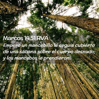 Picture 02 - Marcos 14:51 RVA - Empero un mancebillo le seguía cubierto de una - Bible Verse Picture