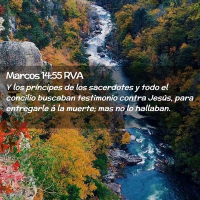 Picture 02 - Marcos 14:55 RVA - Y los príncipes de los sacerdotes y todo el - Bible Verse Picture