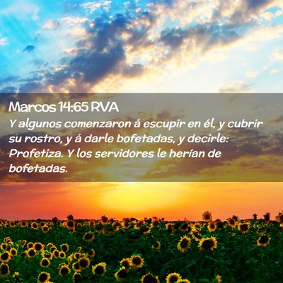 Picture 02 - Marcos 14:65 RVA - Y algunos comenzaron á escupir en él, y cubrir - Bible Verse Picture
